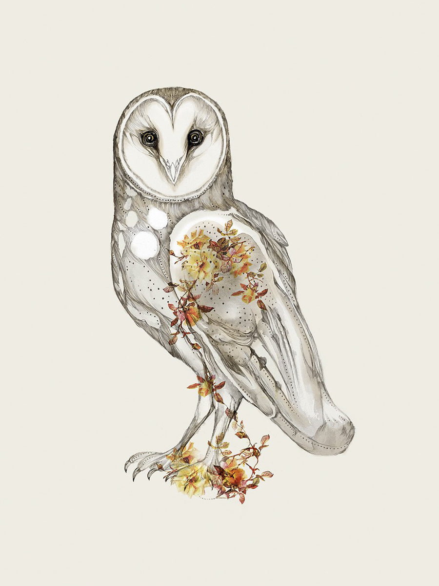 Akamina Blank Cards with Artist Illustration Owl