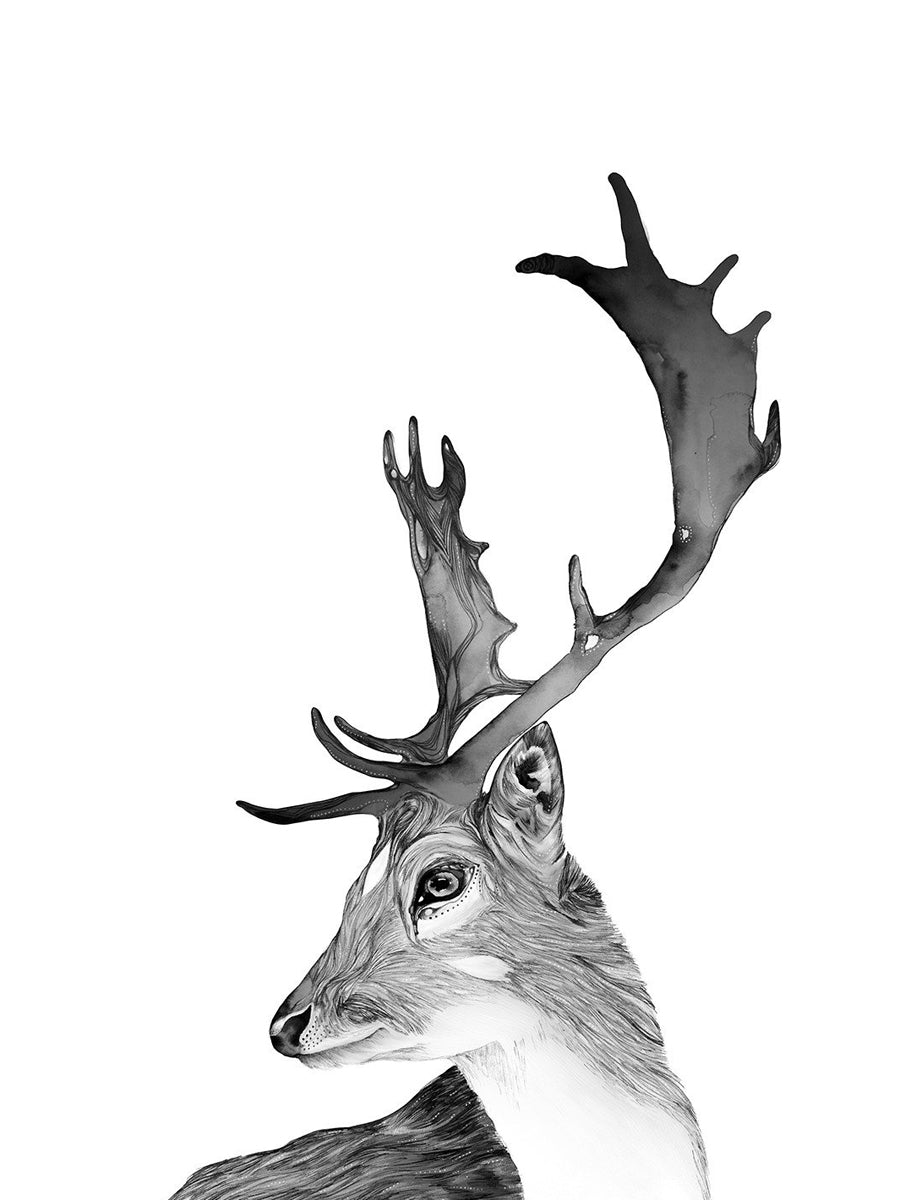 Akamina Blank Cards with Artist Illustration Deer Antler